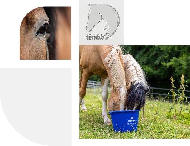 hoeveler terabb pferdefutter NEU